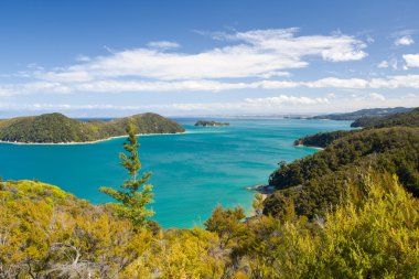 Beautiful New Zealand Landscape. Abel Tasman National Park, Sout clipart