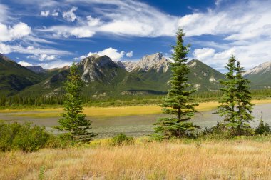 Canadian Landscape. Rocky Mountains, Fir Trees and Cloudy Sky. clipart