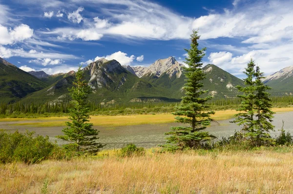 Kanadische Landschaft. Felsige Berge, Tannen und wolkenverhangener Himmel. — Stockfoto
