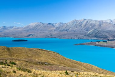 Lake Tekapo, New Zealand clipart