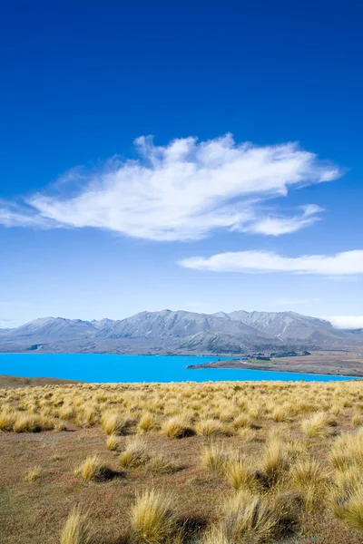 Lago Tekapo, Nueva Zelanda — Foto de Stock