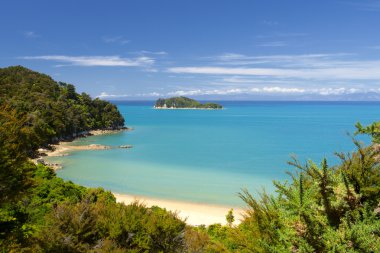 New Zealand Landscape. Abel Tasman National Park. clipart