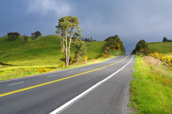 Carretera con doble línea amarilla pintada, Nueva Zelanda — Foto de Stock