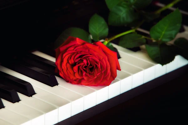 Rode roos op de piano — Stockfoto