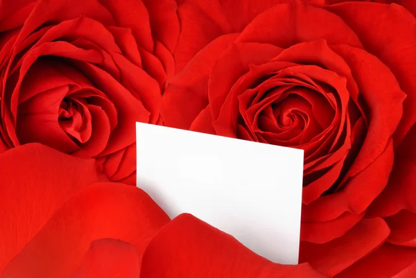 Valentijn kaart temidden van rode rozen en bloemblaadjes — Stockfoto