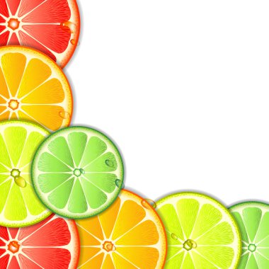 Citrus background clipart