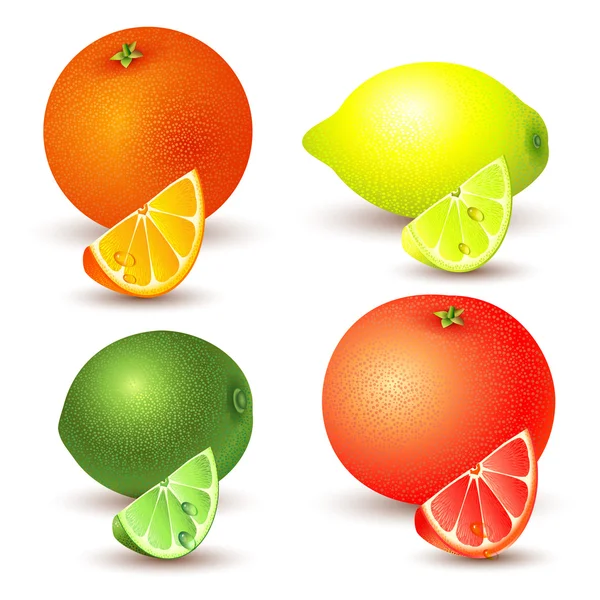 Sada citrusových plodů — Stockový vektor