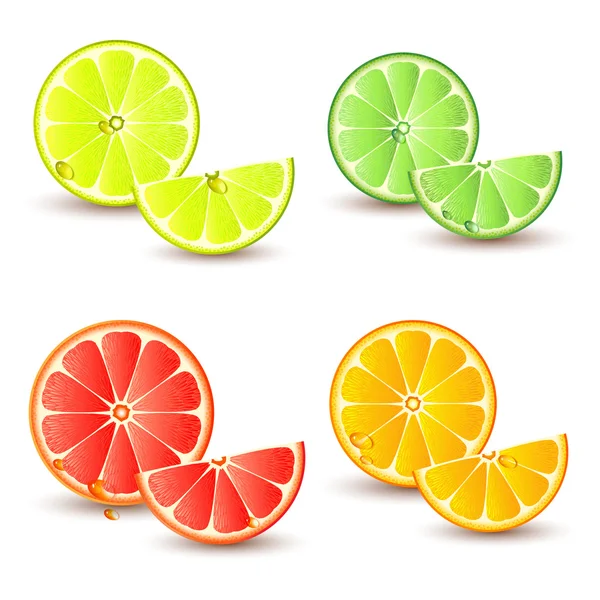 Uppsättning av citrusfrukter — Stock vektor
