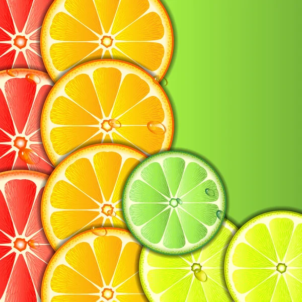 Citrus background — Stock Vector