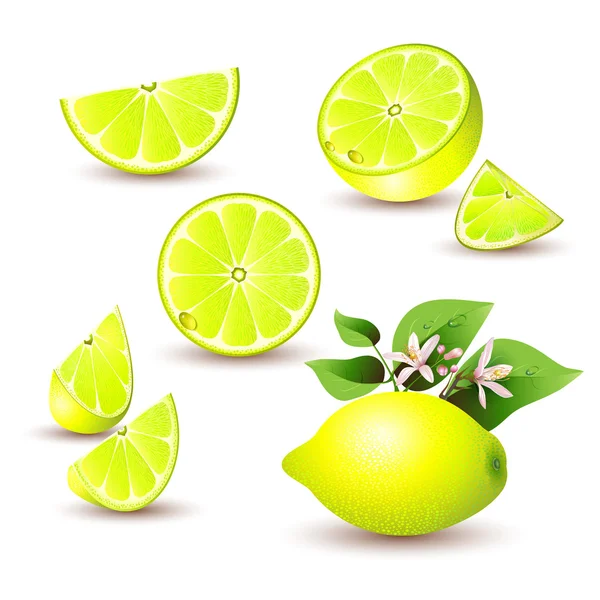Limone fresco con fiori — Vettoriale Stock