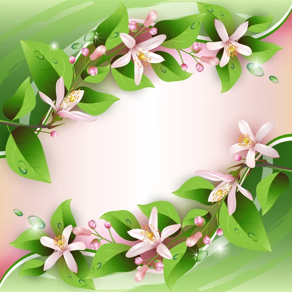 繊細な花の美しい背景 — ストックベクタ