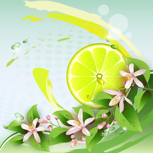 Sulu dilim limon meyve ile arka plan — Stok Vektör