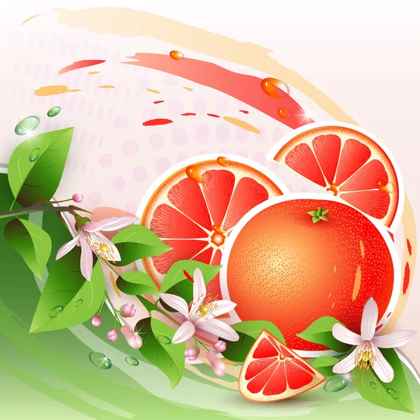 Abstrakter Hintergrund mit frischer Grapefruit — Stockvektor
