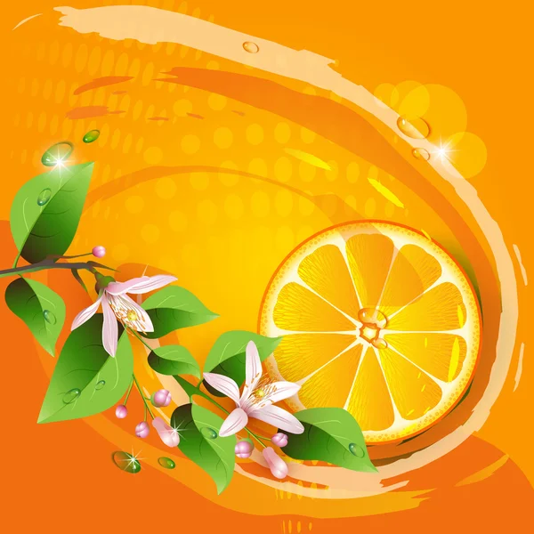 Abstrakter Hintergrund mit saftigen Orangenscheiben — Stockvektor