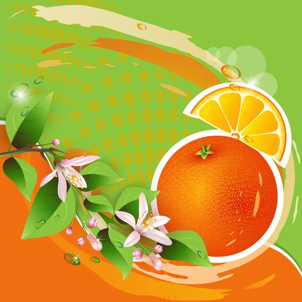 新鮮なオレンジと抽象的な背景 — ストックベクタ