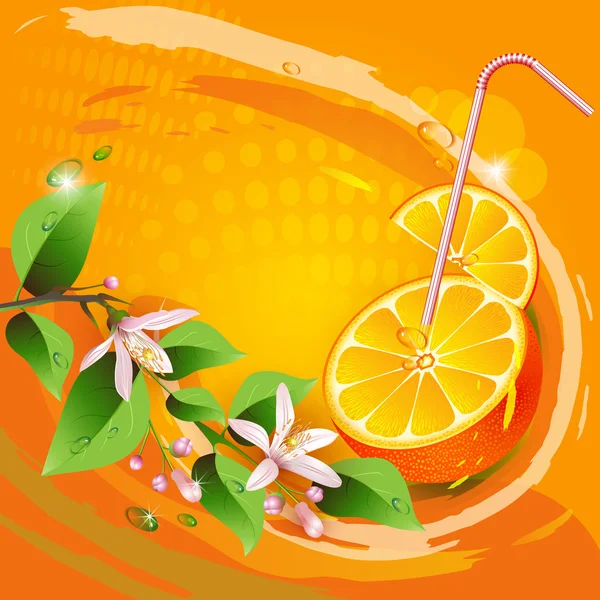 Background with orange slices — Stock Vector