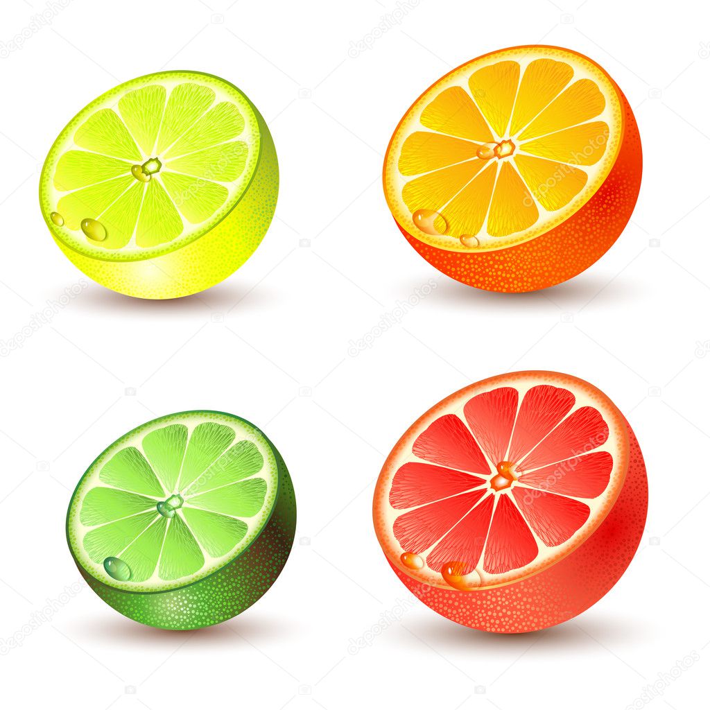 Set Of Citrus Fruit Stock Vector Vericika