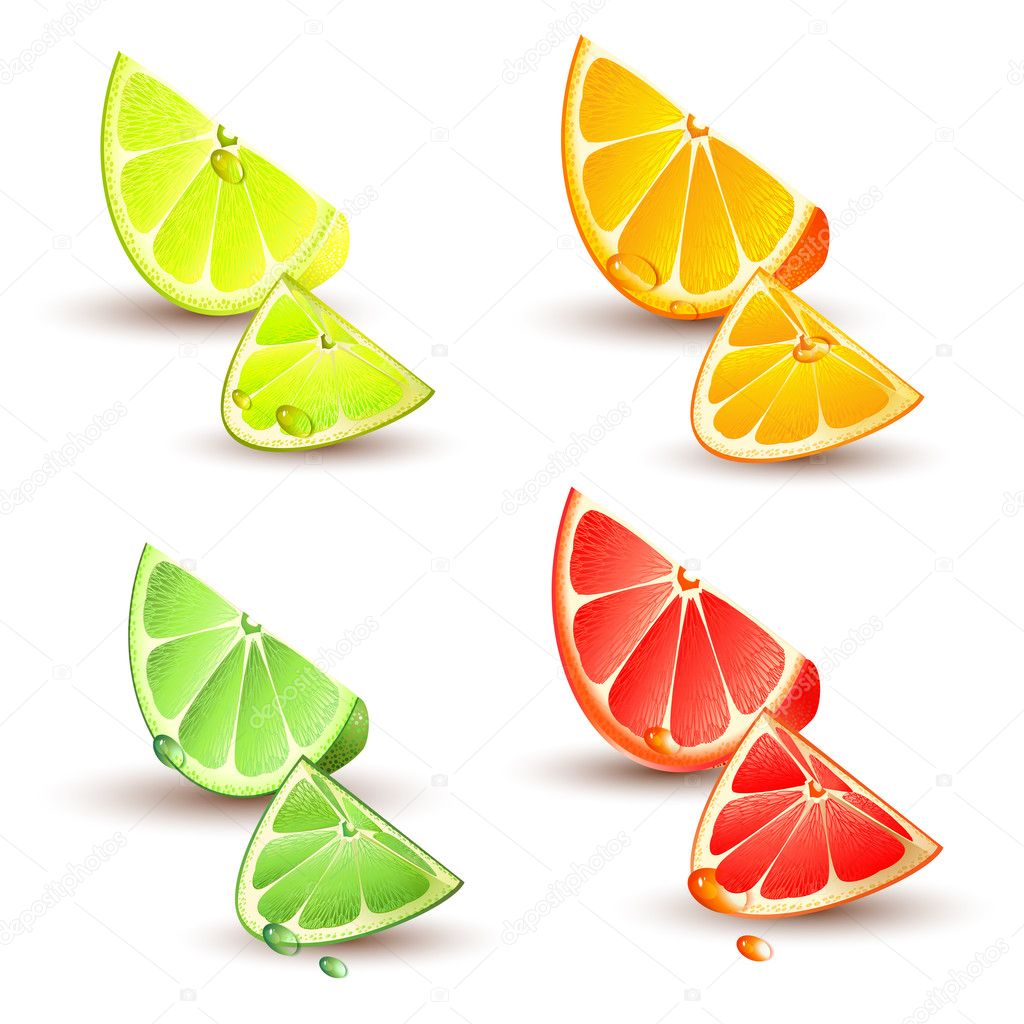 Set of citrus fruit