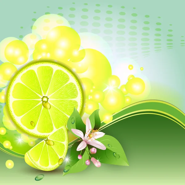 Fondo abstracto con jugosas rebanadas de fruta de limón — Vector de stock