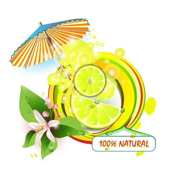 Tranches citron aux fleurs — Image vectorielle