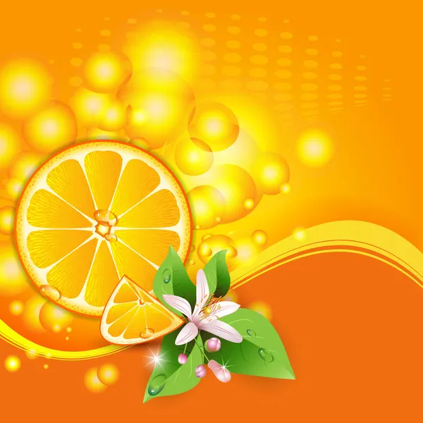 オレンジ色の果物のジューシーなスライスと抽象的な背景 — ストックベクタ