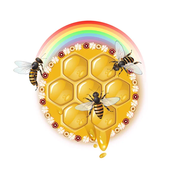 Три пчелы и соты — стоковый вектор