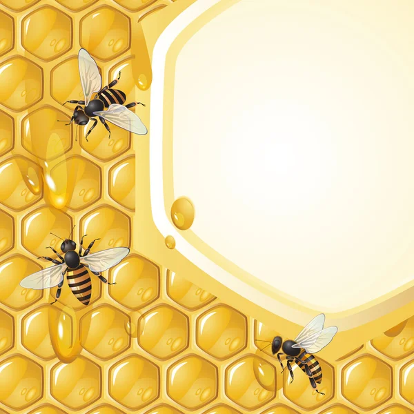 Hintergrund mit Bienen — Stockvektor