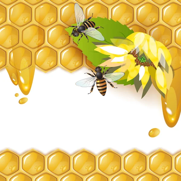 Sfondo con le api — Vettoriale Stock
