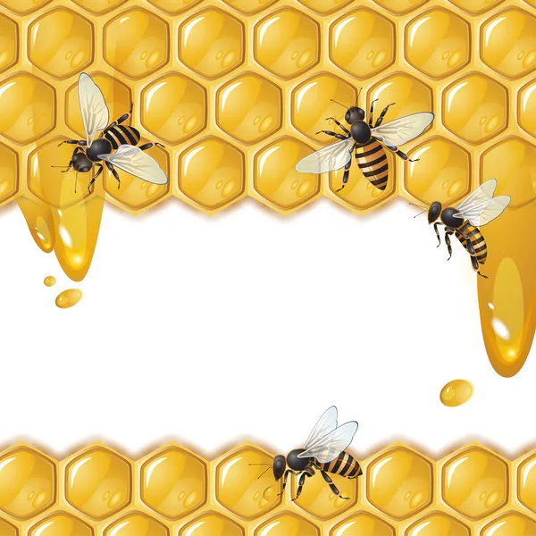 Arılar ile arka plan — Stok Vektör