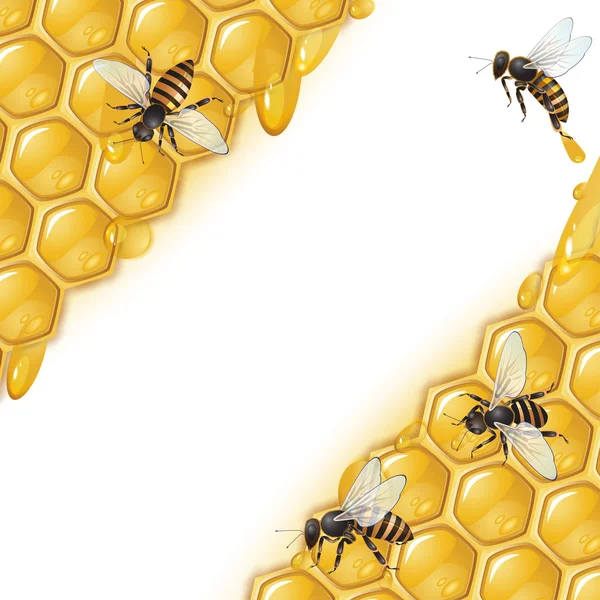 Achtergrond met bijen — Stockvector