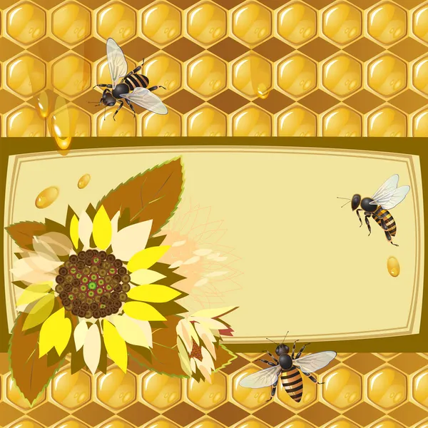与蜜蜂和蜂窝背景 — 图库矢量图片