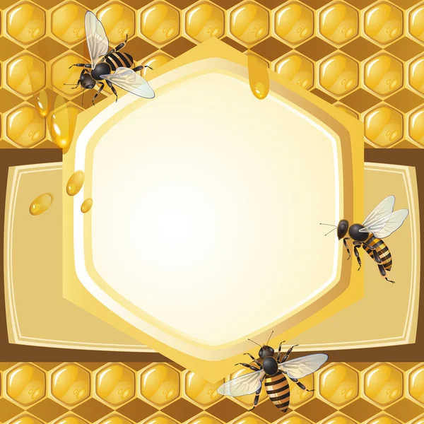Fondo con abejas — Archivo Imágenes Vectoriales