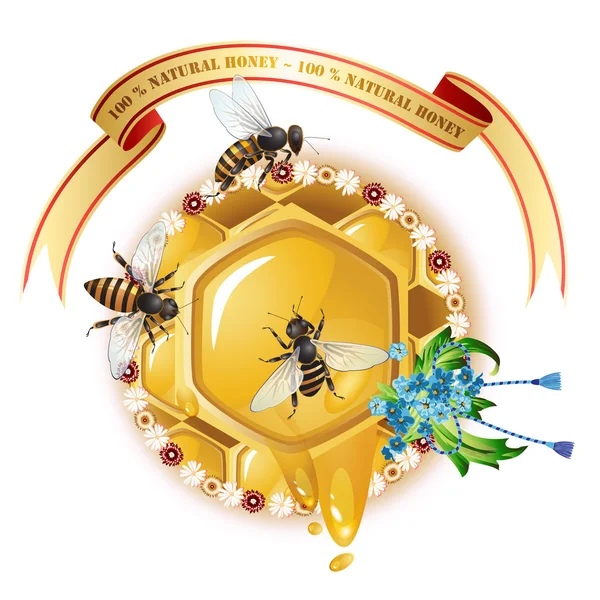 三蜜蜂和蜂窝 — 图库矢量图片