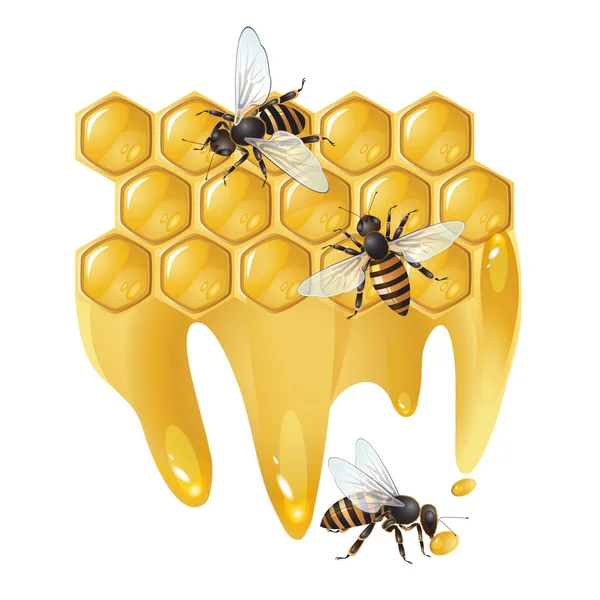 Três abelhas e favos de mel Ilustrações De Stock Royalty-Free
