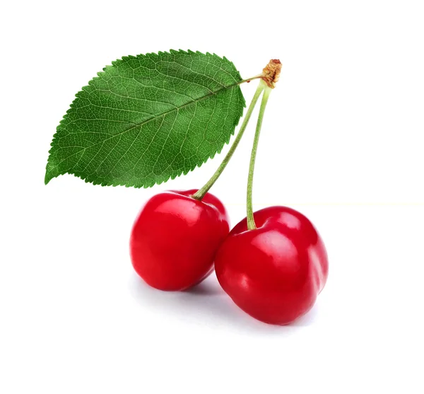 Красные вишни — стоковое фото