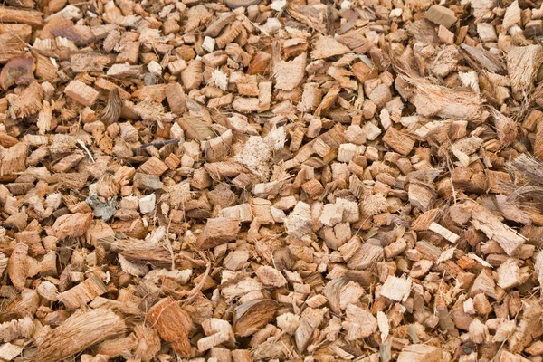 Wood chippings and coconut pieces background — Stock Photo, Image
