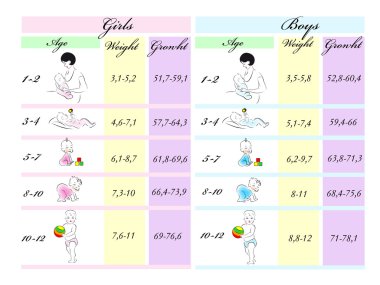 Table of model parameters of height and weight clipart