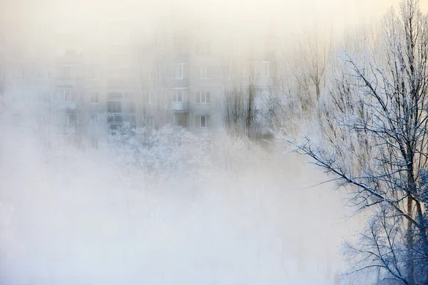 もやのかかった冬の朝 ロイヤリティフリーのストック画像
