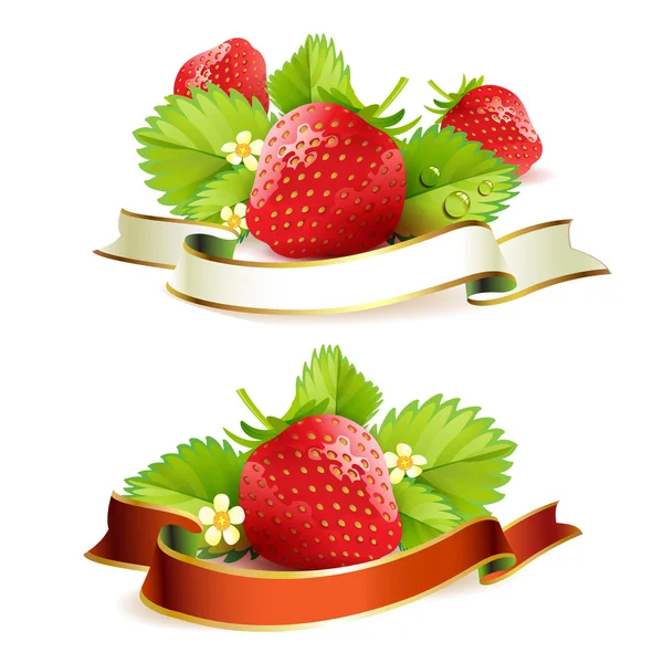 Erdbeere — Stockvektor