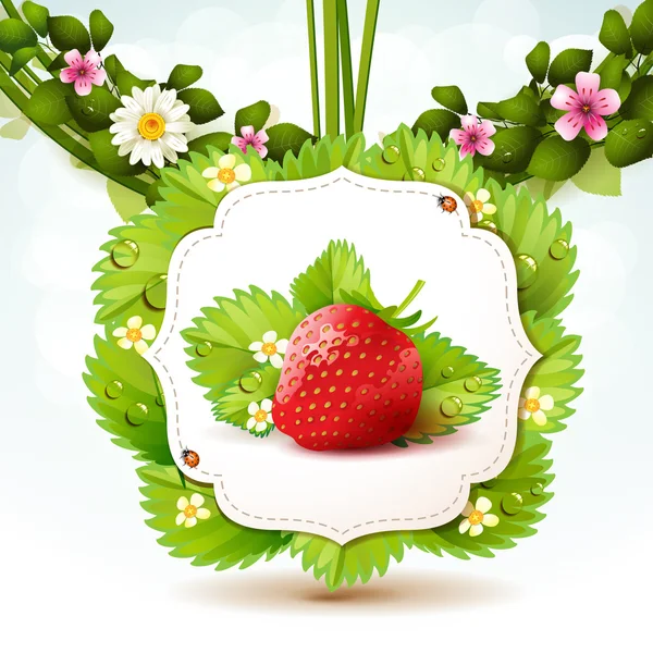 Erdbeere — Stockvektor