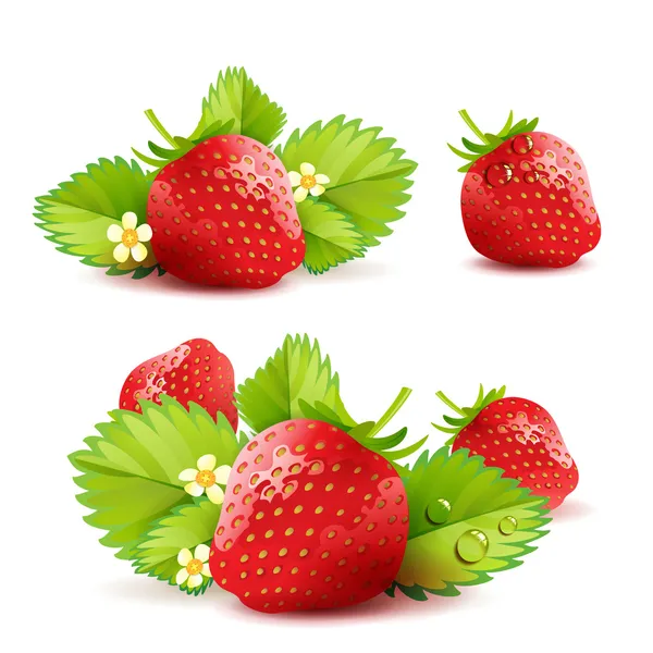 Strawberry Royalty Free Stock Vectors