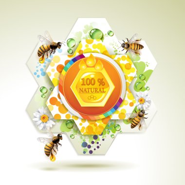 Bees and honeycombs clipart