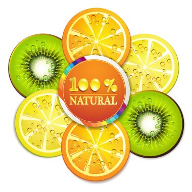 Slice of fruits clipart