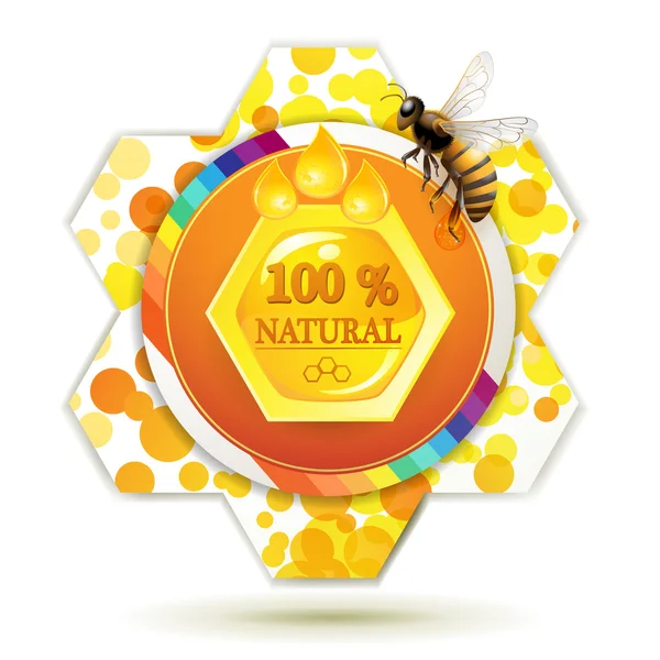Pszczoła i o strukturze plastra miodu — Wektor stockowy