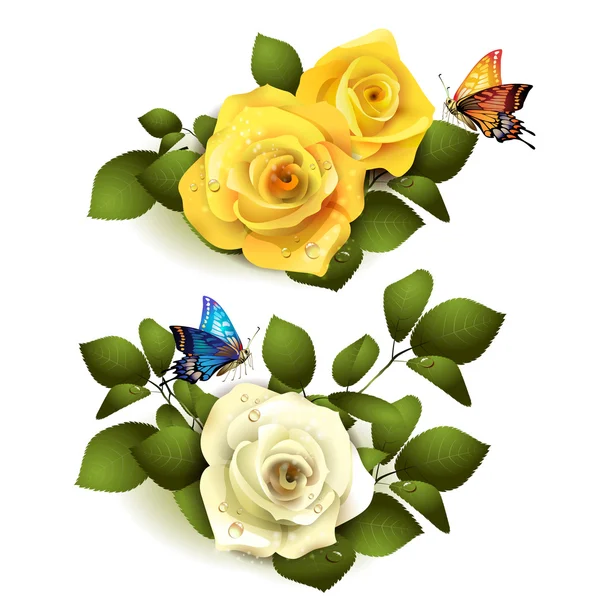 Rosas com borboletas —  Vetores de Stock