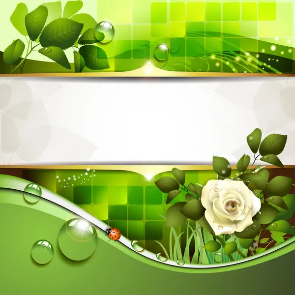 绿色背景与玫瑰 — 图库矢量图片