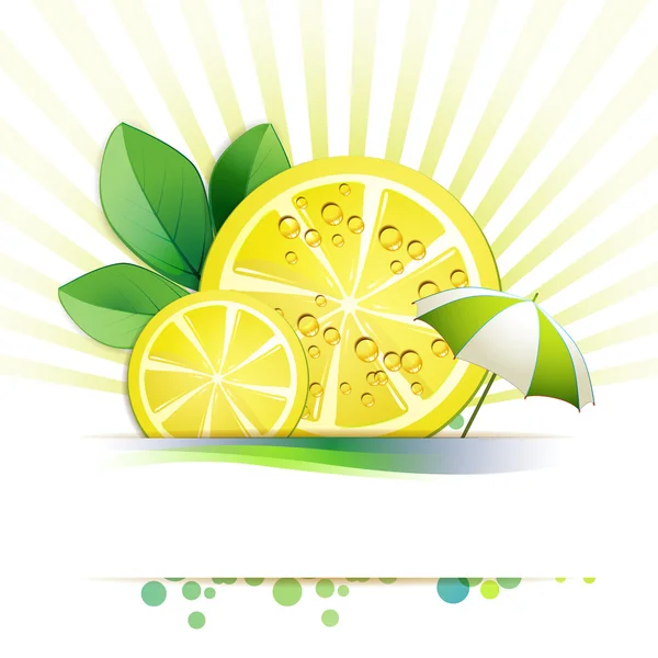 Slices of lemon — Stock Vector