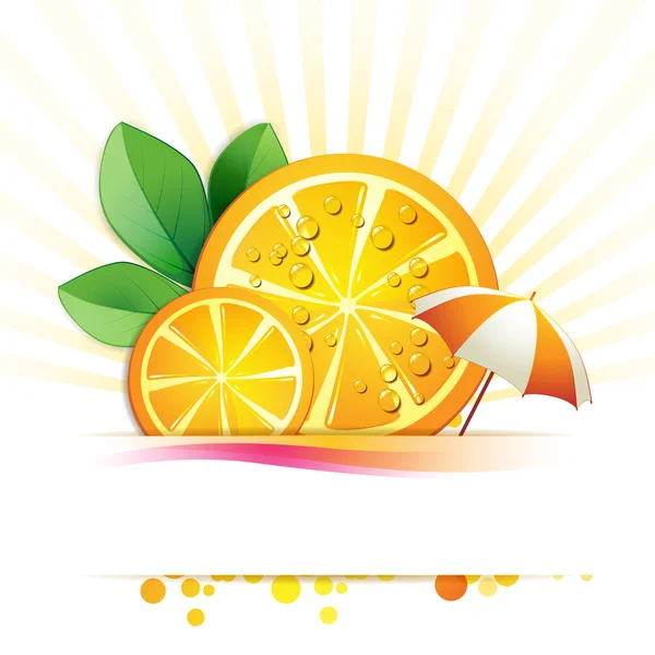 Φέτα πορτοκάλι — Διανυσματικό Αρχείο