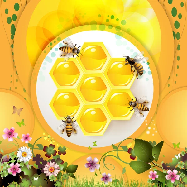 Bijen en honingraat — Stockvector