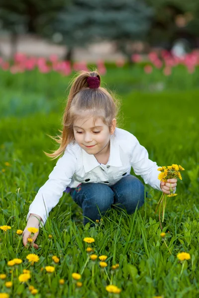緑の牧草地に座っている幸せの美しい女の子 — ストック写真